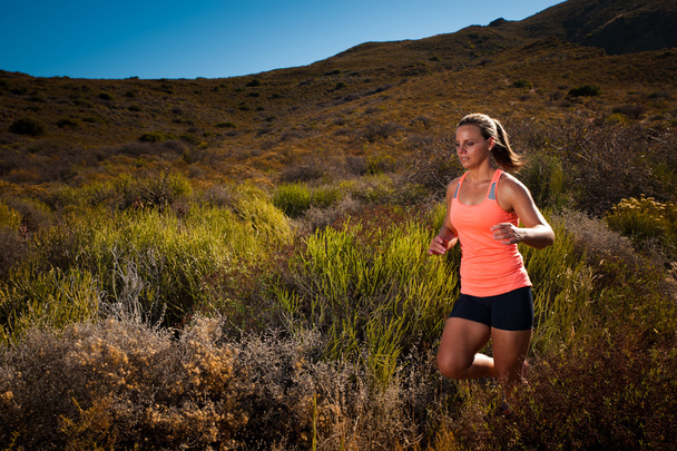 Blonďatá samice stezka běžec běží přes horské krajiny - Fotografie, Obrázek