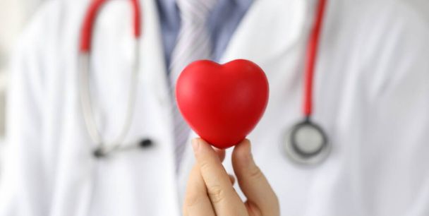Doctor holds mock heart with black dot, pacemaker. Reduce risks heart disease. Get advice from specialist doctor. Preparation for diagnostic study heart. Providing high-tech medical care - Photo, Image