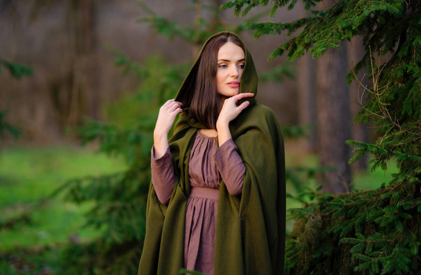 Close up portrait of Amazing fairytale princess in elven green cape and vintage dress standing in winter forest. Warm art work with queen elegant vintage lady. - Photo, Image
