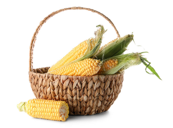 Wicker basket with fresh corn cobs on white background - Fotografie, Obrázek