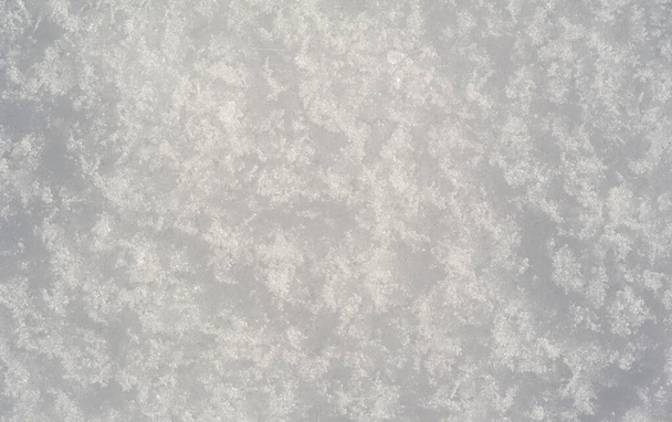 Χιόνι που καλύπτει το έδαφος, δέντρα, γρασίδι. Αναρωτιέμαι αν το χιόνι αγαπάει τα δέντρα και τα χωράφια, τι τα φιλάει τόσο τρυφερά; Και μετά τα καλύπτει σφιχτά, ξέρεις, με ένα λευκό πάπλωμα. - Φωτογραφία, εικόνα