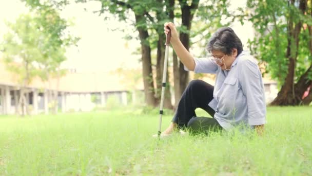 Vanhukset aasialainen nainen vahingossa kompastui ja putosi liukas ruoho puistossa. Hän yritti nousta ylös kepin avulla auttaakseen hänet ylös. Hän käveli hitaasti ja sai pieniä vammoja.. - Materiaali, video
