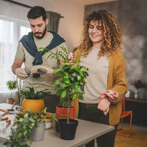 Ζευγάρι καυκάσιος άνδρας και γυναίκα σύζυγος και σύζυγος φυτεύουν λουλούδια μαζί φροντίζοντας φυτά στο σπίτι πραγματικοί άνθρωποι οικογενειακή ζωή έννοια - Φωτογραφία, εικόνα