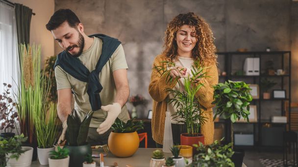 カップルの慎重な男と女性の妻と夫は一緒に家植物の世話をする花を植える 本当の人々 家庭生活の家族の概念 - 写真・画像