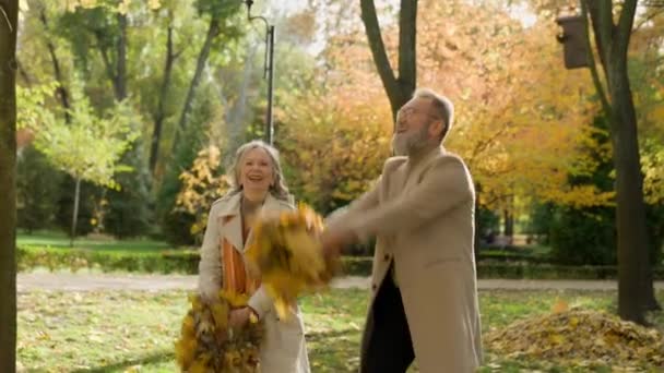 引退したカップル面白いクレイジーな幸せな女性男性と一緒にアウトドア2祖父母中年の妻の夫の男性が秋の公園で黄色い葉を投げて秋の自然の街を楽しみます - 映像、動画
