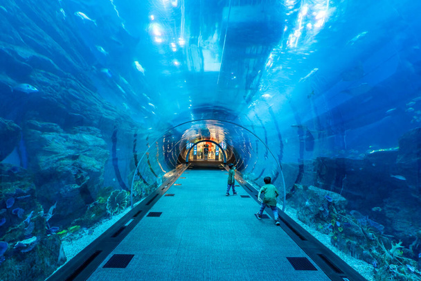 Дубай, Об'єднані Арабські Емірати - 12 березня 2023 р.: Люди захоплюються знаменитим акваріумом всередині знаменитого Дубайського торгового центру - Фото, зображення