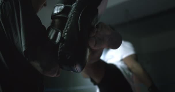 Leistungsstarker Leg Strike Fighter gibt dem gepolsterten Pad im Mitt-Training in Zeitlupe bei 800 fps Kick - Filmmaterial, Video