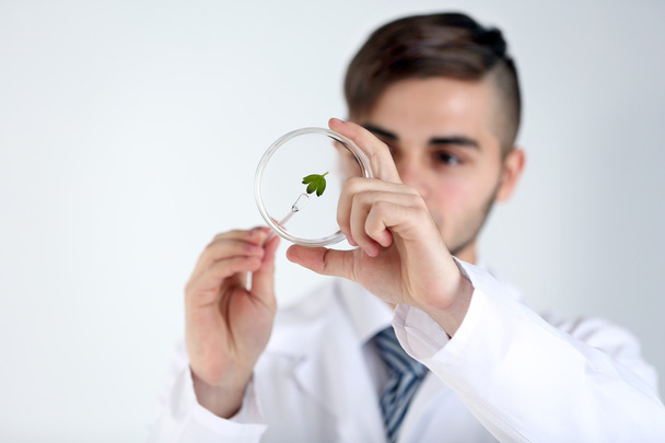 Man holding Petri dish with green leaf, close up - Фото, изображение