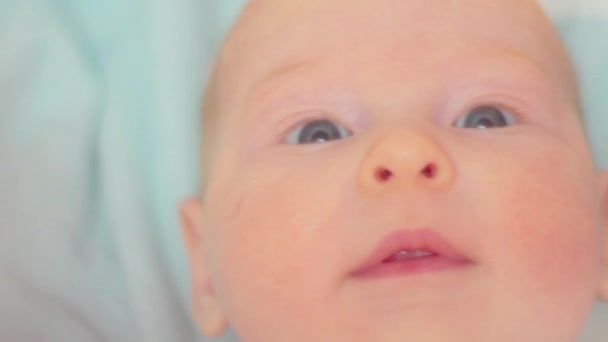 Инквизиционный взгляд новорожденных: моменты, захваченные в помещении - Кадры, видео