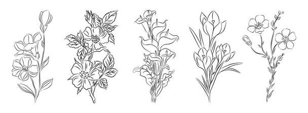 Set van wilde, tuin bloemen, planten lijn kunst vector botanische illustraties. Trendy groen hand getrokken zwarte inkt schetsen collectie. Modern design voor logo, tattoo, wall art, branding en verpakking. - Vector, afbeelding
