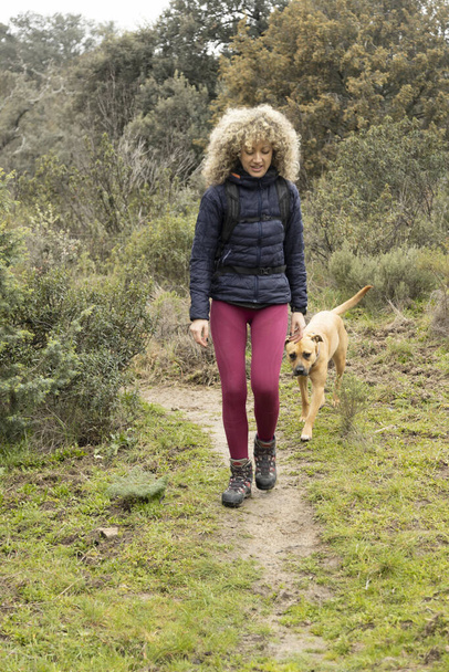 Kręcone i blond włosy, kobieta alpinistka i jej pies spacerujący po górach. - Zdjęcie, obraz