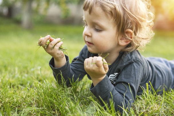 Malé dítě si hraje s trávou za slunečného dne. - Fotografie, Obrázek