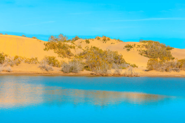Maspalomas Duna - グラン・カナリア諸島の砂漠 スペイン - 写真・画像