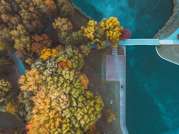 Egy Lewityn nevű nyilvános park Pabianice Cityben ősszel. Kilátás egy drónról. - Fotó, kép