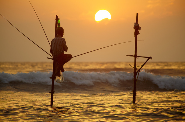Tradiční rybář na Srí Lance - Fotografie, Obrázek