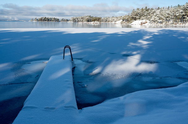 Odrzutowiec pokryty śniegiem w chłodny zimowy dzień Motala Szwecja 9 lutego 2024 - Zdjęcie, obraz