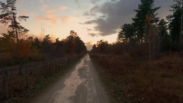 Questo filmato al rallentatore cattura una passeggiata eterea lungo una strada forestale appartata al tramonto. La luce soffusa filtra attraverso gli alberi, proiettando un delicato bagliore sul sentiero mentre il circostante - Filmati, video