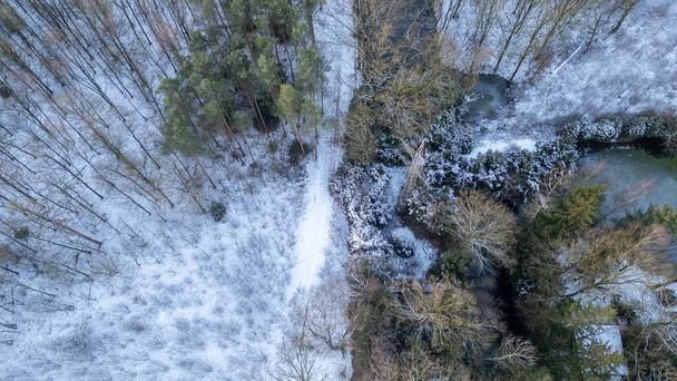 Esta imagen presenta una impresionante perspectiva aérea de un torrente serpenteante que atraviesa un paisaje de bosque invernal. El arroyo, parcialmente oscurecido por las ramas esmeriladas sobresalientes, actúa como un - Foto, Imagen