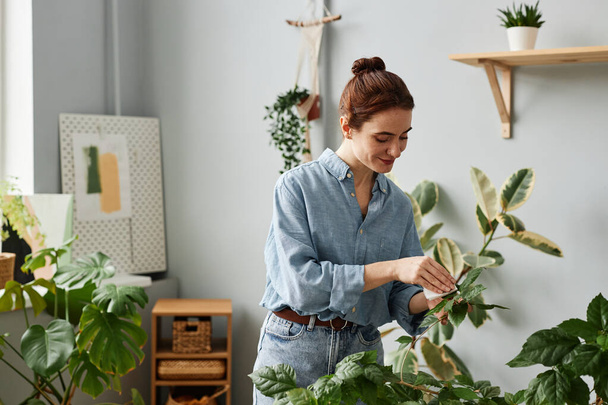 Vyötärö ylöspäin muotokuva hymyilevä nuori nainen hoitaa rehevä vehreys kotona ja tarkastaa kasveja - Valokuva, kuva