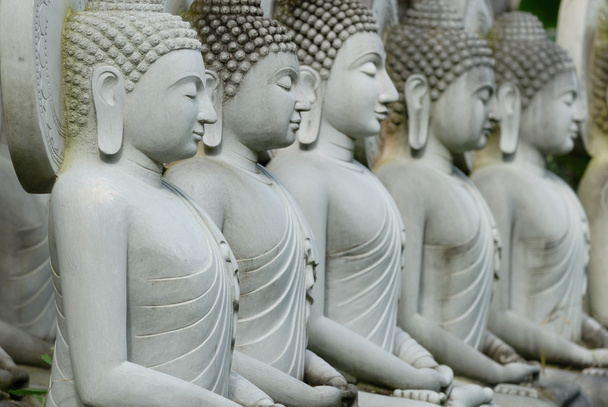 Stato di Buddha di calcare a Wat Pha Sawang Boon Nakornnayok Thaila
 - Foto, immagini