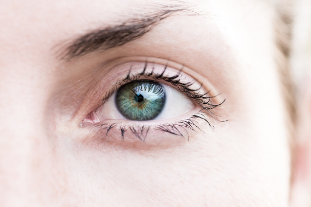Groen-blauw geopende oog - Foto, afbeelding