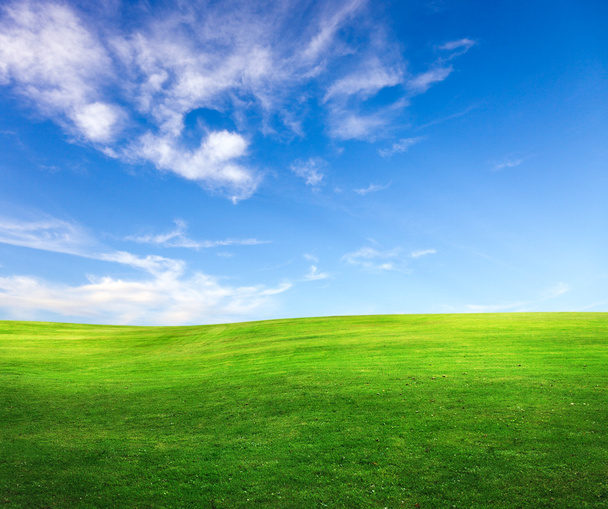 campo su uno sfondo del cielo blu - Foto, immagini