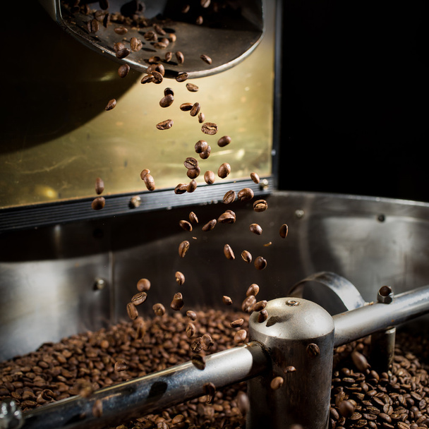 Frissen pörkölt kávébab - Fotó, kép