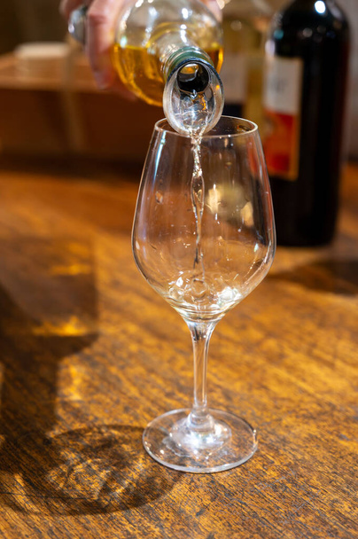 Дегустация сладкого белого десерта Sauternes вин в старых винодельческих доменах на Sauternes виноградников в деревне Барсак пострадавших от Botrytis Cinerea благородного гниения, Бордо, Франция - Фото, изображение