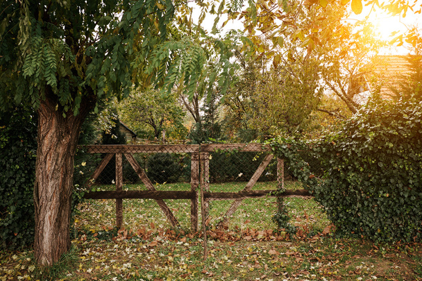 Autumn farm fence - Photo, Image