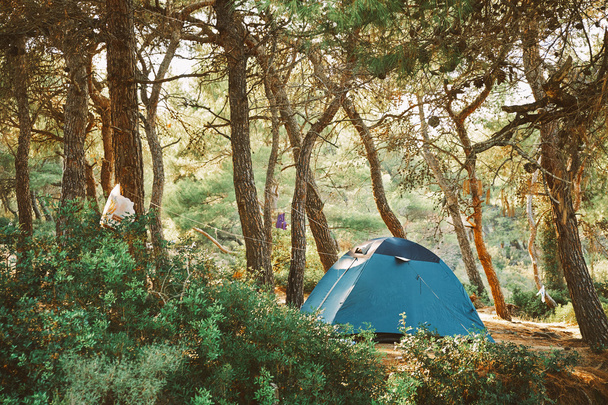緑の森でのキャンプ - 写真・画像