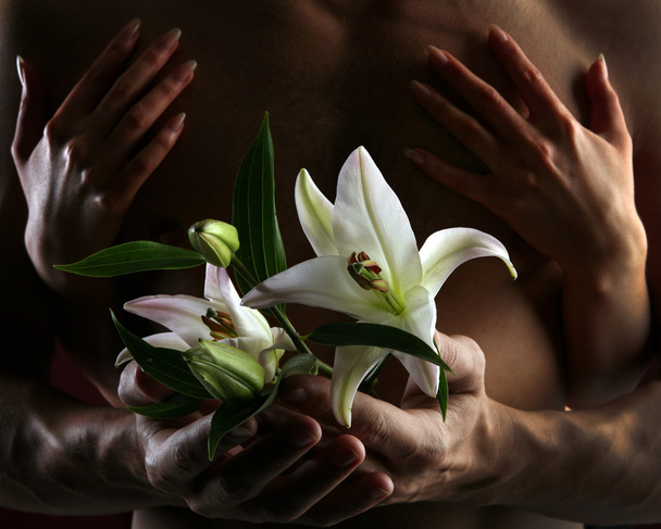 white lily in the hands - Фото, зображення