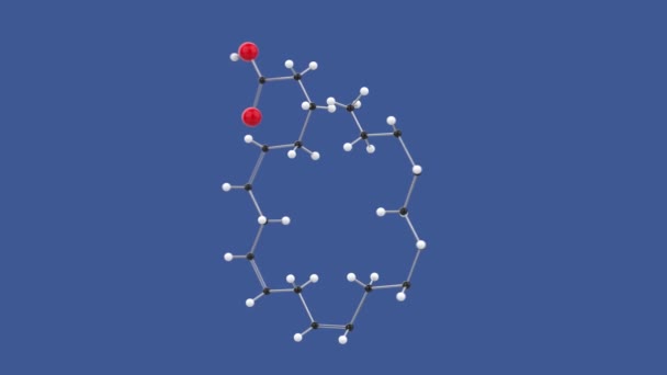 Eikozapentaénsav, Omega 3 EPA, 3D molekula szerkezet hurok animáció, forgó kék háttér, 4k végtelen hurok render - Felvétel, videó