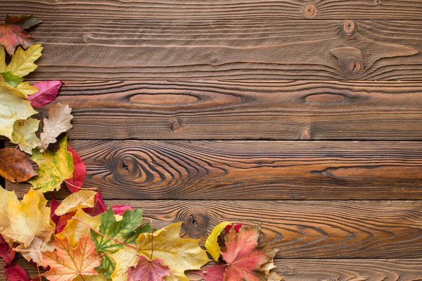 fallen leaves on wooden background, top view, copy space - Photo, Image