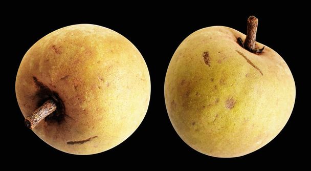 Sapodilla isolated no shadow with clipping path in black background, healthy fresh tropical fruit - Photo, Image