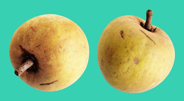 Sapodilla isolated no shadow with clipping path in green background, healthy fresh tropical fruit - Photo, Image