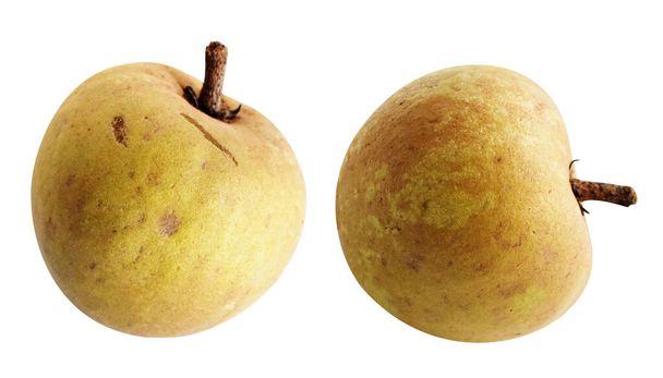 Sapodilla isolated no shadow with clipping path in white background, healthy fresh tropical fruit - Photo, Image