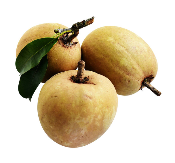 Sapodilla isolated no shadow with clipping path in white background, healthy fresh tropical fruit - Photo, Image