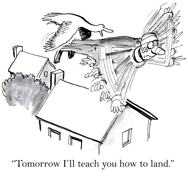 "Tomorrow I will teach you how to land." - Vector, Image