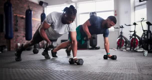 Man, personal trainer and push ups with dumbbells in fitness for workout, exercise or training on floor at gym. Active male person, coach and lifting weights for muscle gain, strength at health club. - Footage, Video