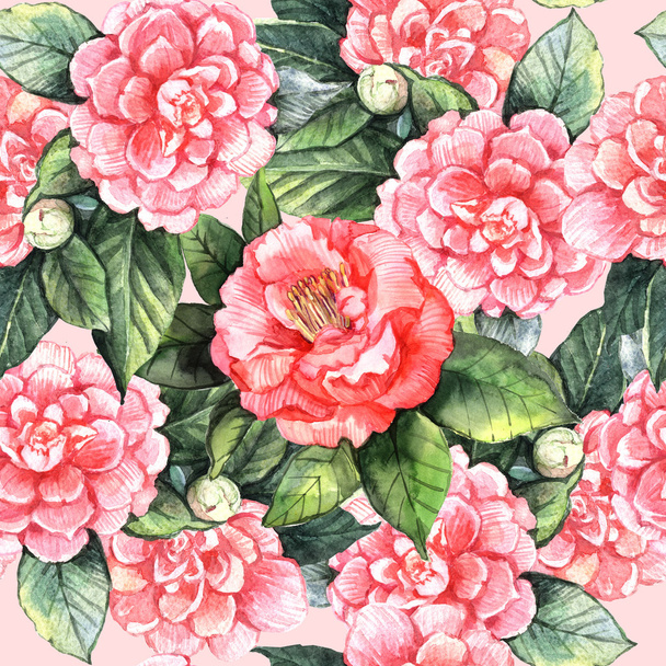 Watercolor flowers camellias - Фото, изображение
