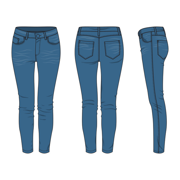 Vrouwen jeans. - Vector, afbeelding