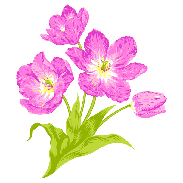 Kytice tulipánů - Vektor, obrázek