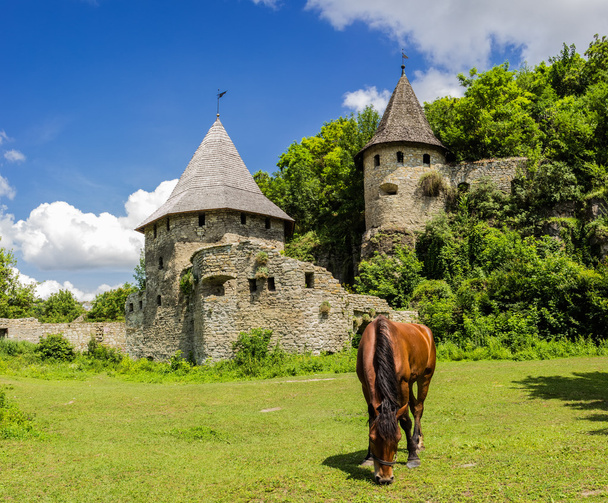 Mittelalterliche Befestigung von Kamenetz-Podolsk - Foto, Bild