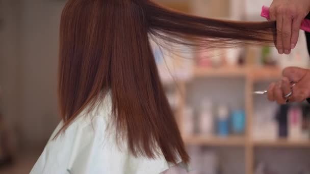 Miesten kampaaja leikkaa naisten hiukset - Materiaali, video