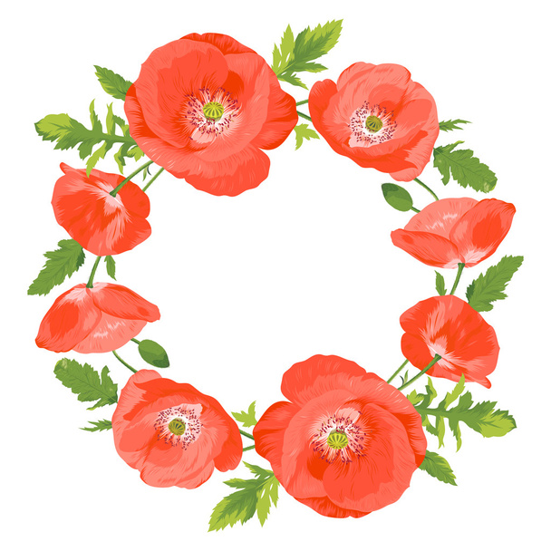 Poppies wreath - Vektor, Bild