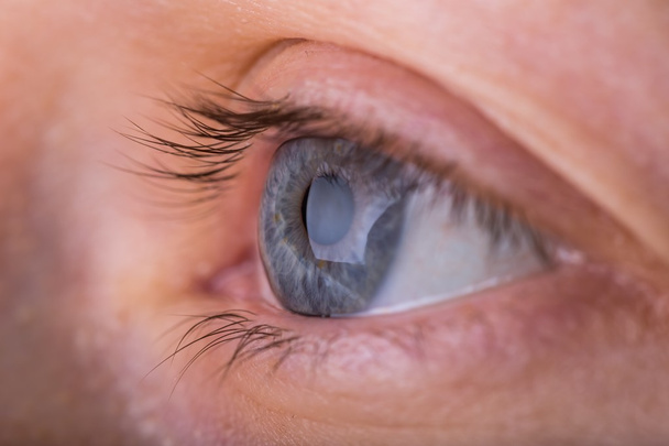 vrouwelijke blauw oog - Foto, afbeelding