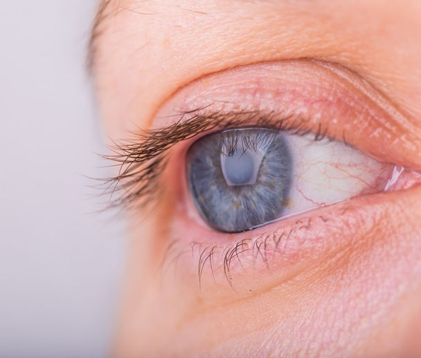 Samice modré oko - Fotografie, Obrázek