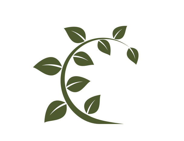 крученый зеленый прут значок. ботанический, растительный и растущий символ. изолированное векторное изображение в плоской конструкции - Вектор,изображение