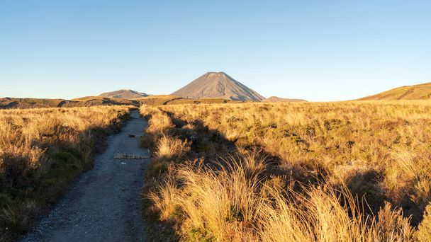 Volkanik manzara, yürüyüş yolu ve arka planda yanardağ günbatımı ışığı ile aydınlatılıyor, Yeni Zelanda. - Fotoğraf, Görsel
