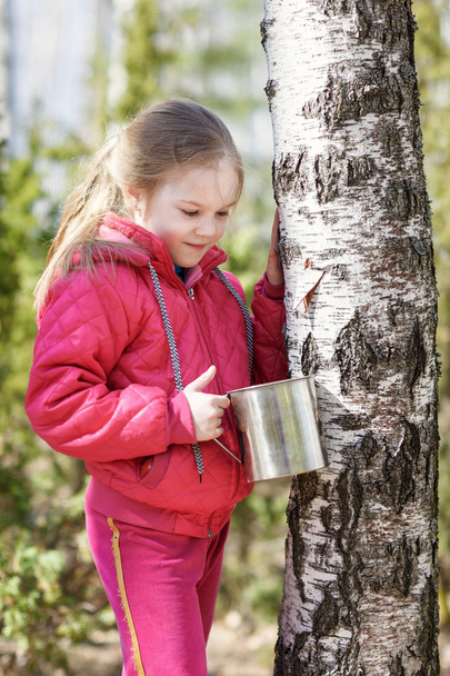 little girl collects birch sap in woods - Фото, зображення